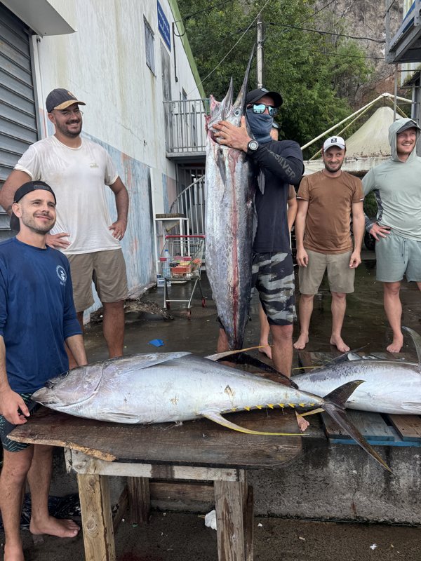 Belles prises ramenées au port en Martinique