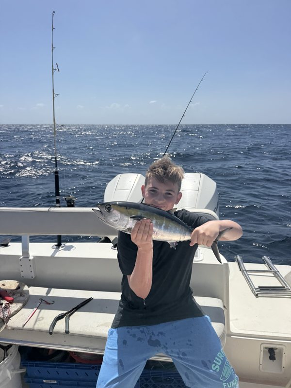 Marlin exposé au retour de sortie en Martinique