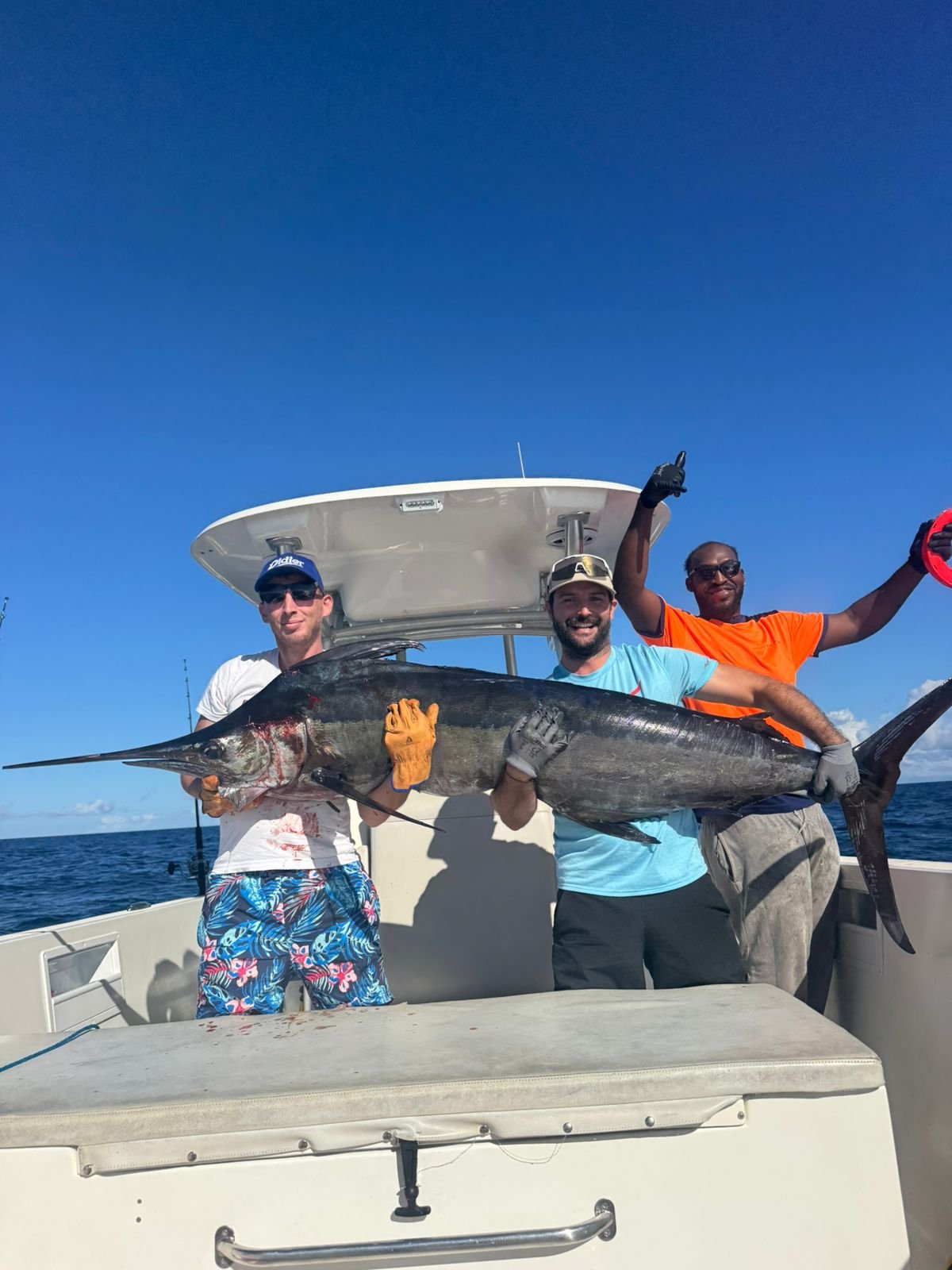 Marlin pêché au large de la Martinique